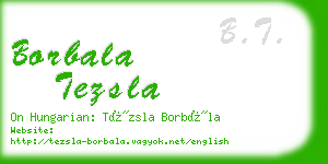 borbala tezsla business card
